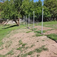 زمین در روستای امامه بالا|فروش زمین و ملک کلنگی|فشم, |دیوار