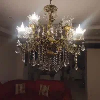 کوستر ۱۰ شاخه در حد نو