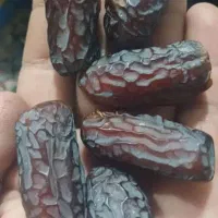 خرمایی پیارم به قیمت عمده فقط 295