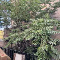 70متردرحد نوساز ،دوکله نور،همکف،پارکینگ،سردارجنگل|فروش آپارتمان|تهران, المهدی|دیوار