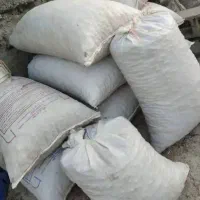 بلوط دله ۱۳۰