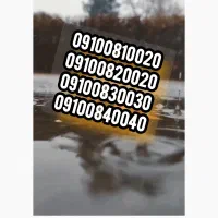 سیم کارت ویژه