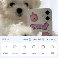 سگ پیداشده