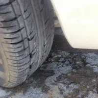 111تمیز فروش فوری|خودرو سواری و وانت|خواف, |دیوار