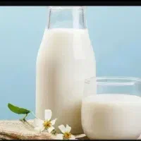 شیر گوسفند (میش)