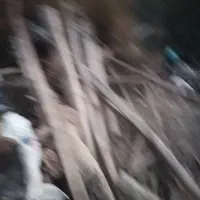 فروشی|مصالح و تجهیزات ساختمان|گالیکش, |دیوار