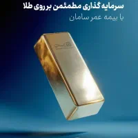مشاور رسمی بیمه و سرمایه‌گذاری سامان