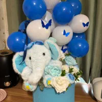 باکس نوزادی