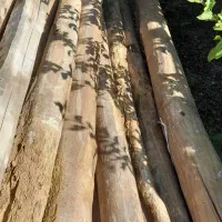چوب ساختمانی بادوام وسالم هرانداره