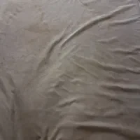 تشک تخت