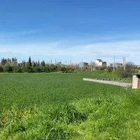 زمین برای سرمایه گذاری بهشر. خلیل شهر|فروش زمین و ملک کلنگی|خلیل شهر, |دیوار