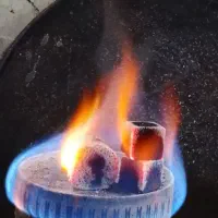 زغال نارگیل