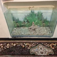 لوازم خانه|بخاری، هیتر، شومینه|یاسوج, |دیوار