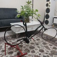 دوچرخه دکوری