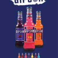 ویزیتور حضوری