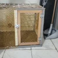 گنجه