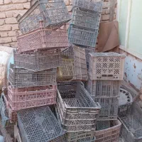 ۳۰ عدد سبد میوه سالم|ظروف نگهدارنده، پلاستیکی، یک‌بارمصرف|نیشابور, ده حلاج|دیوار