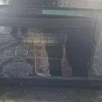 ماکروویو سرانزو