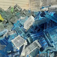 ضایعات سبد میوه