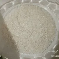 نیم‌دانه هاشمی