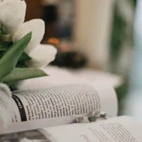 عکاس حرفەای سنندج|خدمات پذیرایی، مراسم|سنندج, |دیوار