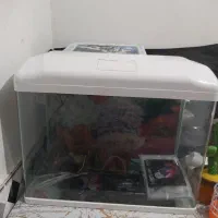 میز و آکواریوم|ماهی|سعدآباد, |دیوار