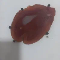 سنگ عقیق یمنی به شرط|جواهرات|مشهد, ابوذر|دیوار