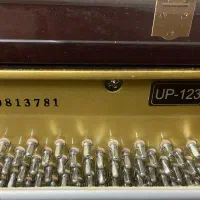 پیانو آکوستیک|پیانو، کیبورد، آکاردئون|تبریز, |دیوار