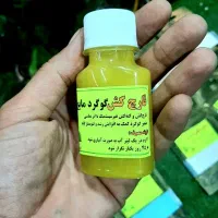کود گل و گیاه