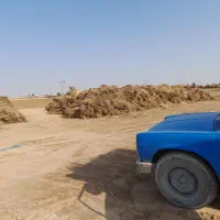 جاروی فراشی عمده|خدمات نظافت|حبیب آباد, |دیوار