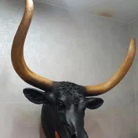 مجسمه دیوارکوب گاو هلندی (تعداد محدود)|مجسمه، تندیس، ماکت|تهران, کیانشهر|دیوار