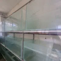 آکواریوم برای سالن ماهی زینتی