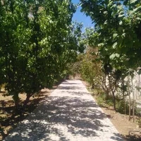 باغ ویلا واقع در هفت باغ علوی|فروش خانه و ویلا|ماهان, |دیوار