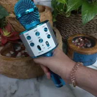 اسپیکر بلندگو مدل WS-858