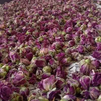 غنچه خشک|گل و گیاه طبیعی|مشگین شهر, |دیوار