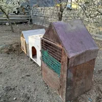 قفس حیوان و پرنده