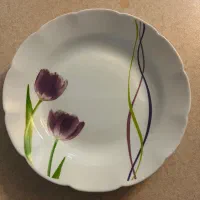 سرویس 18نفره آرکوپال dessini