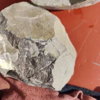 سنگ چخماق فسیلی کلکسیون با قدمت بالا|کلکسیون اشیاء عتیقه|تهران, توحید|دیوار