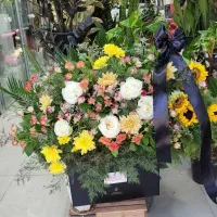 باکس مشکی|گل و گیاه طبیعی|شیراز, خلدبرین|دیوار
