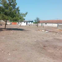 شریک و سرمایه گذاری در گاوداری پرواربندی ه گوشتی