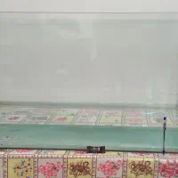 آکواریوم بزرگ لبه شیشه خم فروشی یا معاوضه