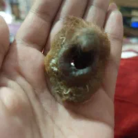 مهره قدیمی اصل