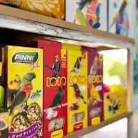 هرچی که برای حیون خونگیت بخوای تو فروشگاه ما هست