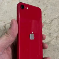 آیفون IPhone SE2020 256 Red|موبایل|تهران, امام حسین|دیوار