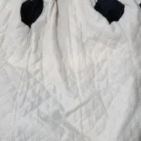 کاپشن دخترانه|لباس|دماوند, گیلاوند|دیوار