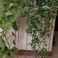 پایه گلدان فلزی نقره ای