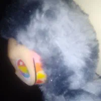 لبوبو سکرت مفت|اسباب‌‌بازی|شیراز, شهرک مفتح|دیوار