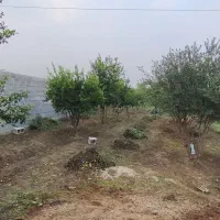 باغچه800-متری-پشت-رستوران-کندو