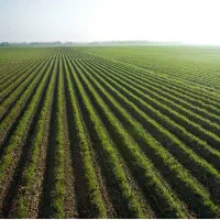 زمین آبی کشاورزی