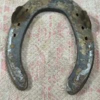 نعل اسب|اسب و تجهیزات اسب‌سواری|زابل, |دیوار